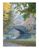 BRIDGE IN FALL