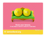 Lemonland: Breast Self Exam