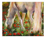 White Stallion Grazing in Poppy Field