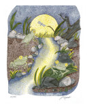 Frogs in the night