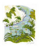 Frogs at daylight