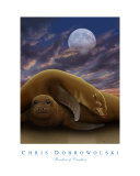 Wonders of Creation - Seal Series I