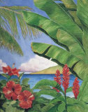 Tropical HorizonII