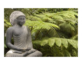 Stone meditating Buddha statue with greenery
