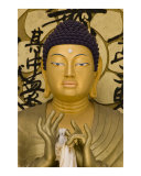 Face closeup of Japanese golden Buddha