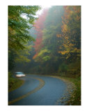 Blue Ridge Parkway 1