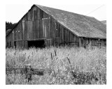 Overgrown