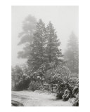 Winter Wonderland - Vertical