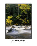 Autumn colors around Sawyer River in the White Mountains  New Hampshire USA