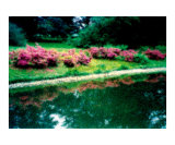 Longwood Gardens