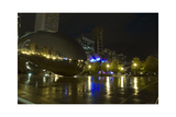 Chicago millenium park