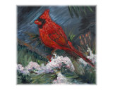 Winter Cardinal