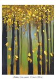 Colors of Fall I
