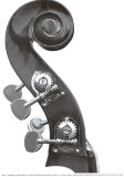 Bass Neck