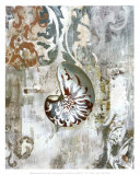 Nautilus