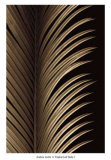 Tropical Leaf Study I