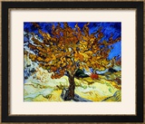 Mulberry Tree  1889
