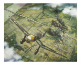 JU-87 Stuka (Blitzkrieg 1940}