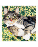 Tabby Tilly