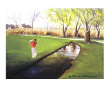 Golfing at Sunkenmeadow Park