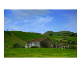 Rural landscape  Azores islands