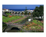 The gardens of Ribeira Grande  Azores