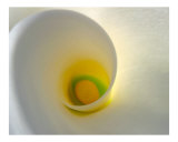 Calla Lilly 1
