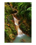 Caldeira Velha  Azores