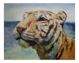 Siberian Tiger