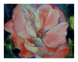 Wild Rose