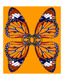 4 monarch butterflies in orange