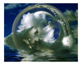 Reflections