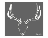 Grey Moose