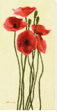Pavots Rouge II
