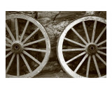 Cart wheels