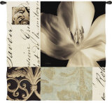 Tulip Montage Mid