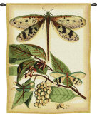 Whimsical Dragonfly I