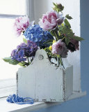 Hydrangeas and Peonies