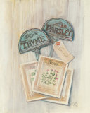 Seed Packs