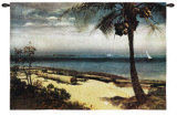 Tropical Coast