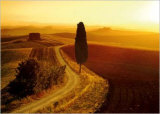 Sinies Crete  Tuscany