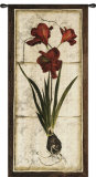 Red Tulip Study I