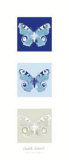 Butterfly II