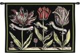 Tulips on Black I