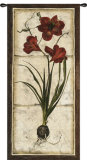 Red Tulip Study II
