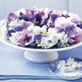 Zen Flowers
