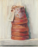 Terracotta Pots