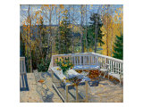 Abandoned Terrace 1911