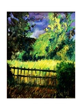 Old fence