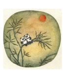 Panda Pair